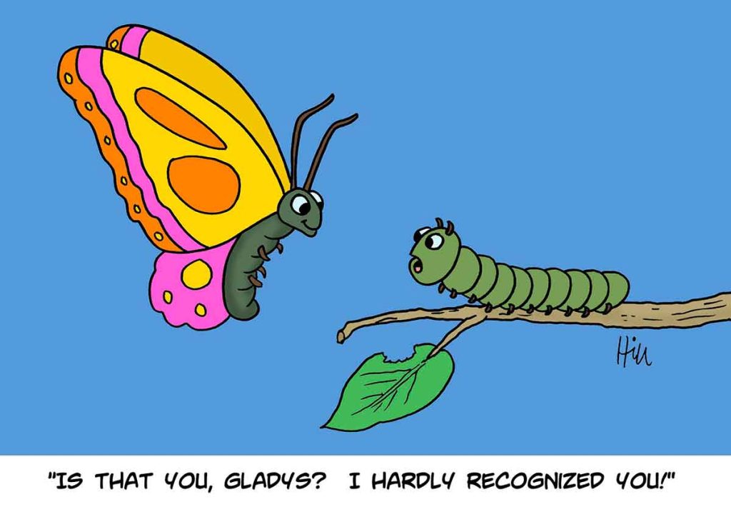 Butterfly and caterpillar cartoon